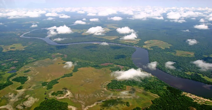 Salonga National Park (Democratic Republic of the Congo) removed from the List of World Heritage in Danger