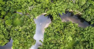 Act for biodiversity: visit the UNESCO and LVMH pavilion at the IUCN congress