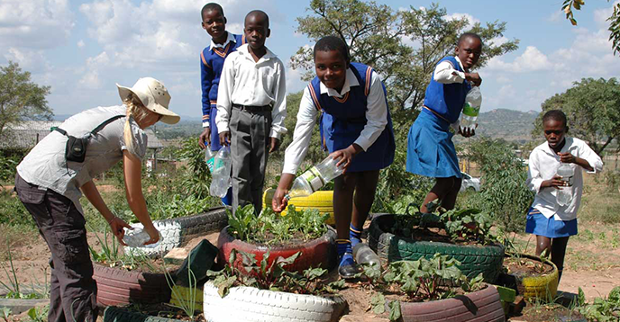 Only half of the national curricula in the world have a reference to climate change, UNESCO warns