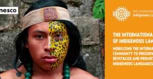 Best practices and lessons learned to preserve, revitalize and promote Indigenous Languages