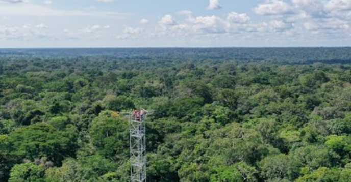 Yangambi Biosphere Reserve in the Congo Basin to become a knowledge hub in climate and biodiversity