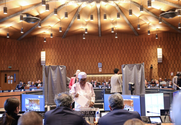 54935914277_3ed4aa2141_o