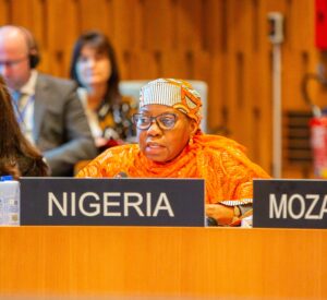 Plénière CEX PM-5